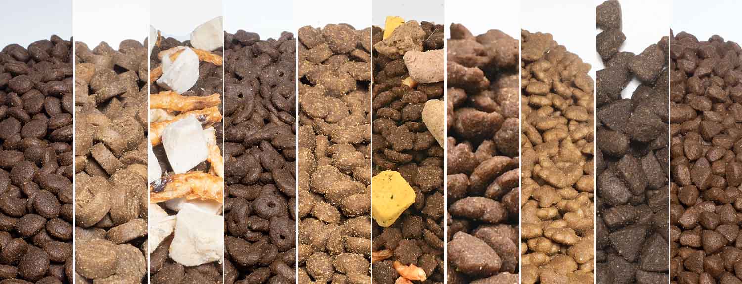 cat food