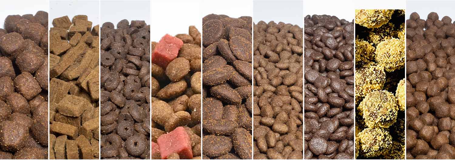dog food
